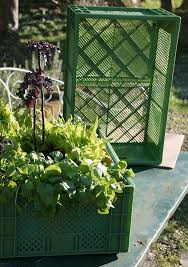 Sehr Stabile Pflanzkiste Aus Voll Recyclingfahigem Lebensmittelechtem Kunststoff Fur Den Gemuse Krauter Oder Blumen Pflanzen Naturnaher Garten Gemuseanbau