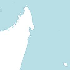 Image result for Otiophora