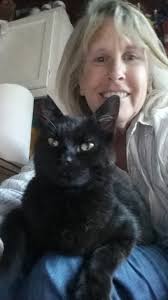 Possum trap found after 20-minute search