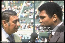 1,247 Robin Ali Stock Photos, High-Res Pictures, and Images