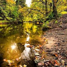 Plessey Wood Www Visitnorthumberland Com Bestnland Journey Green Space North East England