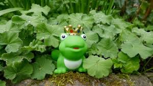 Maybe you would like to learn more about one of these? Como Convertir Peluches En Figuras Para La Terraza O Jardin Paso A Paso De Forma Facil
