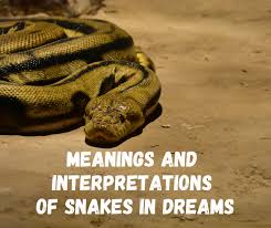 Read 13 reviews from the world's largest community for readers. The Different Meanings And Interpretations Of Snakes In Dreams Exemplore