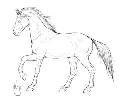 5 steps to draw a horse. Pencil Cartoon 1024 853 Transprent Png Free Download Foal Line Art Horse Cleanpng Kisspng