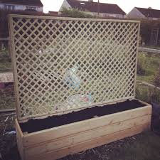 Lattice Planter Box Planted With Climbing Veg Diy Planters Diy Planter Box Backyard