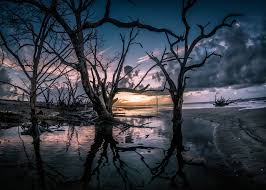 Forest dark hd nature 4k wallpapers images backgrounds photos. Wallpaper Nature Dark Blue Sky Sunlight 2048x1463 Wallpapermaniac 1198202 Hd Wallpapers Wallhere