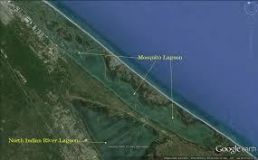 location suggestion wading mosquito lagoon fishing from