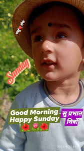 🌻🌺GOOD MORNING ALL..🌺🌻 #highlights2025 #morning #photochallenge  #goodmorning #GoodMorningEveryone