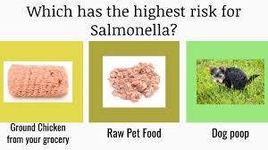 What the fda does and doesn't do. The Real Truth About Raw Pet Food