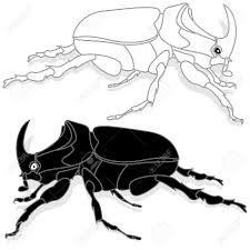 We did not find results for: Beetle Hand Drawn Sketch For Adult Coloring Book Page T Shirt Royalty Free Cliparts Vectors And Stock Illustration Image 75322531