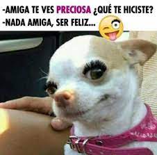 Pin De Diana Cardona En Gracioso Jajajaja Memes Divertidos Meme Gracioso Memes Gracioso
