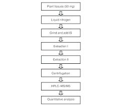 Schematic Flow Chart Showing The Steps For The Analysis Of