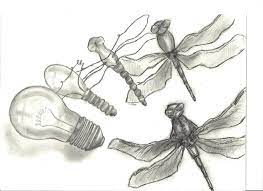 Metamorphosis Drawing - The Art Room
