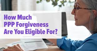 Sba application form for loan when it comes to ppp forgiveness calculation, you need the ppp schedule a worksheet borrowers must use all three forms to calculate their loan forgiveness amount. How To Calculate Your Partial Ppp Loan Forgiveness Amount Alignable