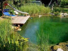 Marvelous Beautiful Swimming Pool Trends For Your Home Swimming Pool Pond Natural Swimming Ponds Natural Pond