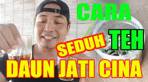 Teh jati cina untuk diet. Tekno Kita Begini Cara Seduh Teh Daun Jati Cina Untuk Diet Kekinian Di 2020 Rabab Minangkabau