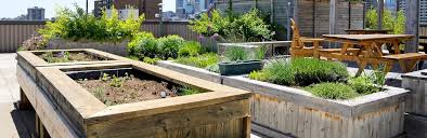 Here are some amazing garden design ideas to mull over before refurbishing your yard space. Roof Top Garden Design Ideas Love The Garden