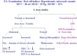 Anemia Diseases And Conditions Pediatric Oncall