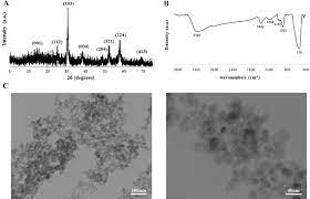 Evaluation Of Dextran Coated Superparamagnetic Iron Oxide Nanoparticles Download Scientific Diagram