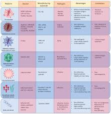 Image result for Ruspolia sp. no. 1 (Biegel 5407)