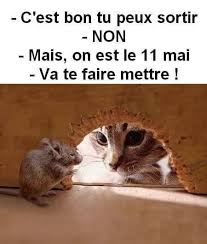 Envoyez une carte postale en ligne humour et autres cartes : Confinement Humour Special Animaux Restezchezvous