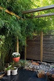 Bamboo Fence Roll Decor Ideas Images In Landscape Asian Design Ideas For Innovative And Large Backyard Landscaping Privacy Fence Landscaping Garden Swing Sets