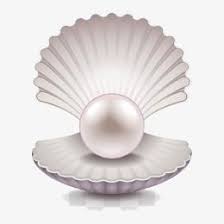 Pearl Pearl Clipart Shell Png Transparent Clipart Image And Psd File For Free Download Pearls Shells Oyster Pearl