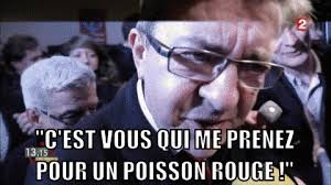 Short, baseball or long sleeve; Melenchon Poisson Citation Gif Find On Gifer