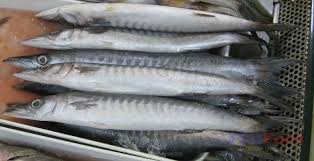 Market Guide To Common Fishes In The Philippines 2 18637 In 2020 Fish Restaurant Fish Types Of Fish
