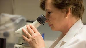 Skeletal dysplasia: A rare story about a rare disease