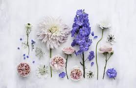 Dress Your Tech With Free Summer Flowers Phone And Desktop Wallpapers From Cristi Flower Desktop Wallpaper Cute Desktop Wallpaper Aesthetic Desktop Wallpaper