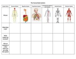 Related Image Human Body Systems Body Systems Worksheets Body Systems
