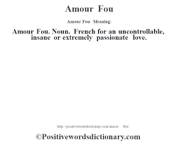 Amour Fou Definition Amour Fou Meaning Positive Words Dictionary Positive Words Positive Adjectives Words