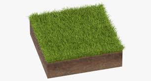 3d Model Grass Cross Section 01 Model 3d Model Grass
