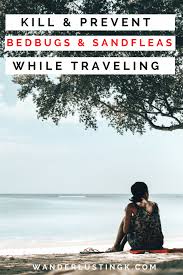 Itchy bites and welts received at beaches, marshes, and other coastal areas often come from sand fleas. How To Prevent Kill Bed Bugs Sand Fleas While Traveling