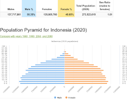 Bancian terbaru akan dilakukan pada 2020. Jumlah Penduduk Indonesia Tahun 2020 Tumoutounews