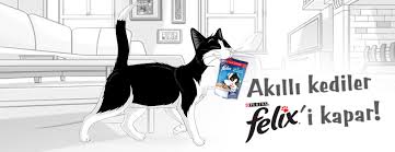 Felix Turkiye Community Facebook