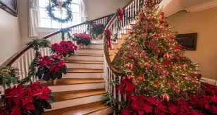 Check spelling or type a new query. Christmas At Boone Hall Plantation Boone Hall Plantation Gardens