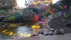 How to build a pond waterfall step by step. Ecosystem Koi Pond Installation Austin Central Texas Tx Texas Ponds And Water Features Austin Tx 512 782 8315