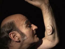 Prix Ars Electronica-Gewinner stehen fest