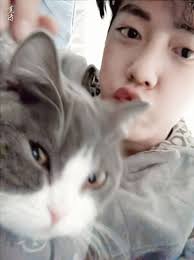 I capture this cutie pie today hope you love it 🥰😘