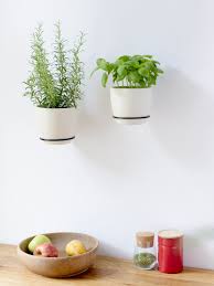 Wandhalterung Perfekt Fur Die Krauter In Der Kuche Planty Rings Grosse M Stahl Schwarz Pulverbeschichet Wallmount For K Kitchen Herbs Blumentopf Wandhalterung