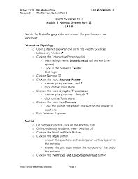 Motor neurons have long axons and carry information from the central nervous system to the muscles and glands of the body. Module 8 Nervous System Part Ii Laboratory 8 Worksheet Docsity