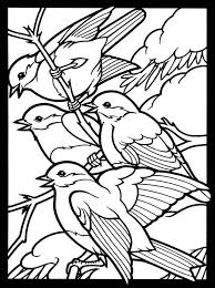 A beautiful adult coloring book of gorgeous bird designs. Pin By Susana Torres On Riscos Vintage Bird Coloring Pages Coloring Books Coloring Pictures