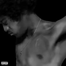 Butch Dawson Why Bother ft. Pink Siifu Lyrics