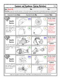 As you work on deciding what question you will explore, you keep in mind that writing the hypothesis is an early step in the process of doing a science project. Constants Controlled Variables And Hypotheses Worksheet With Coloring