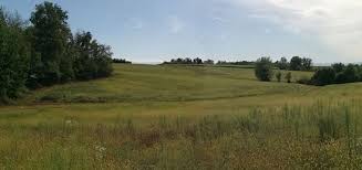 Azienda agro turistico venatoria tenuta bonicelli ceresole d'alba, cuneo, piemonte. La Riserva Di Caccia Tenuta Bonicelli In Turismovenatorio It Caccia In Fiera