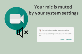 Check spelling or type a new query. Solved Your Mic Is Muted By Your System Settings Google Meet