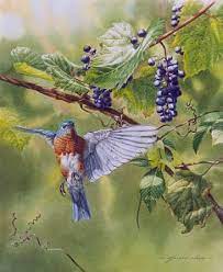 Maybe you would like to learn more about one of these? Bluebird And Grapes Painting Art By Arnold Nogy Grapes Painting Blue Bird Painting Blue Bird