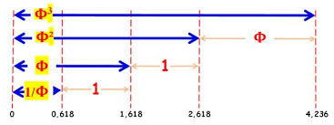 Résultat de recherche d'images pour "nombre d'or corps humain"